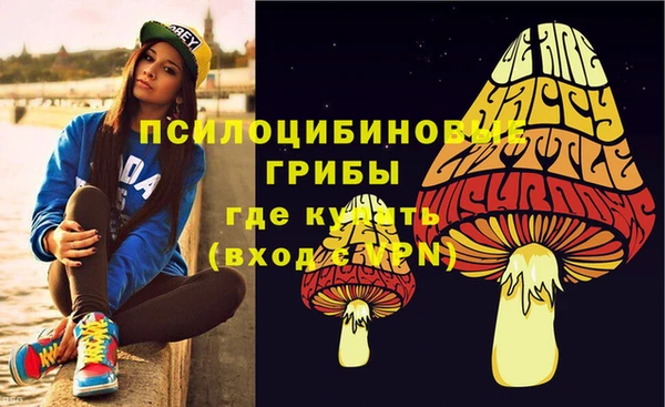 Альфа ПВП Майский