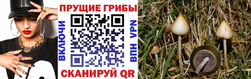 Галлюциногенные грибы Psilocybe  shop состав  Тольятти 